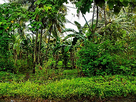 02-DSC01959