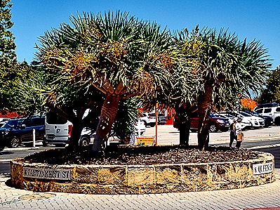 05-DSC07583