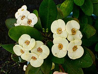 06-DSC01964