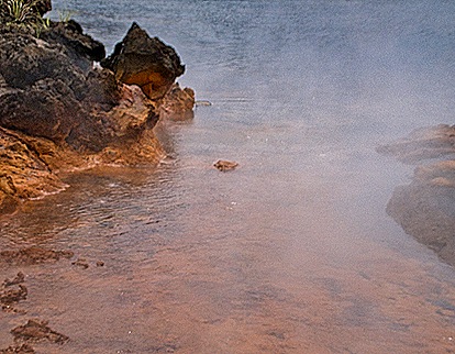 1-DSC01993
