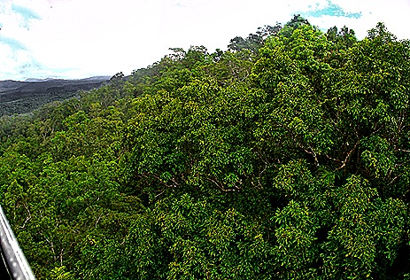 10-DSC02214_stitch