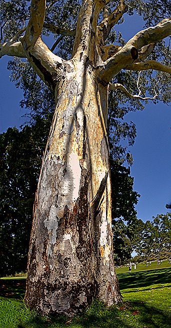 14-DSC07480_stitch