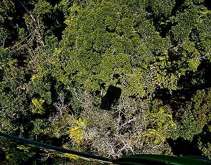21-DSC02238