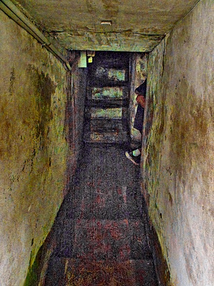 25-DSC02004
