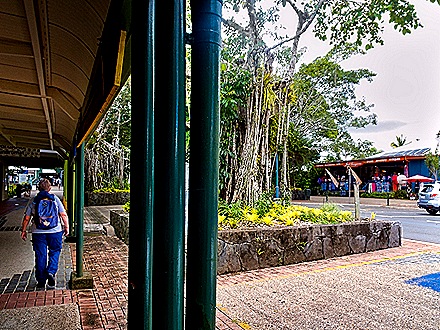 27-DSC02250