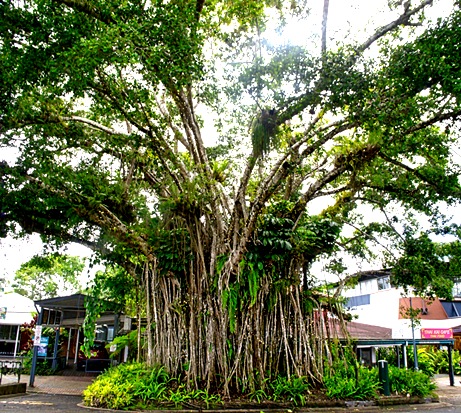 3-DSC02254_stitch (1)