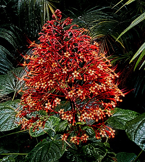 32-DSC02259