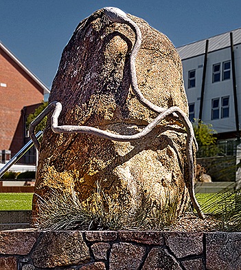 05-DSC07617