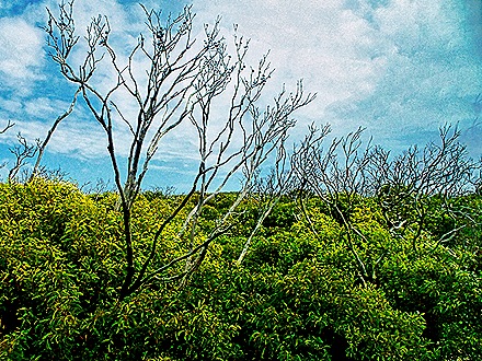 19-DSC07730