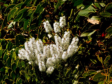20-DSC07731