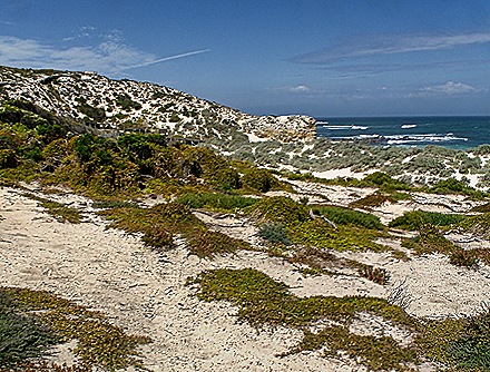 36-DSC07784_stitch